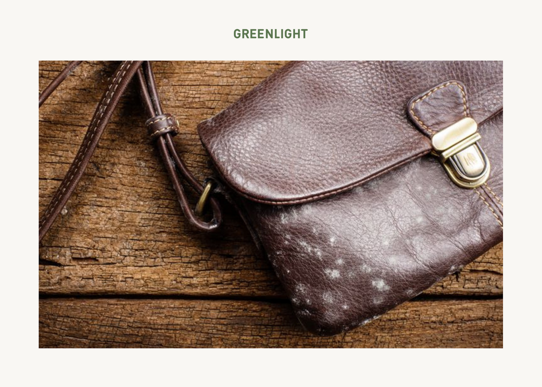 cara membersihkan tas yang berjamur