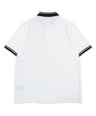 Greenlight Essential Men's Collar T-Shirt Short Sleeve Regular Fit Cotton Mahendra HP-C061224